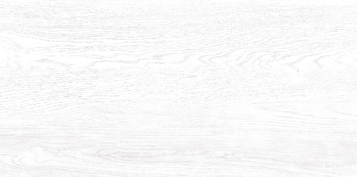 TWU09WOD000 плитка облицовочная Вуд / Wood 249*500 (12 шт в уп/80,676 м в пал)